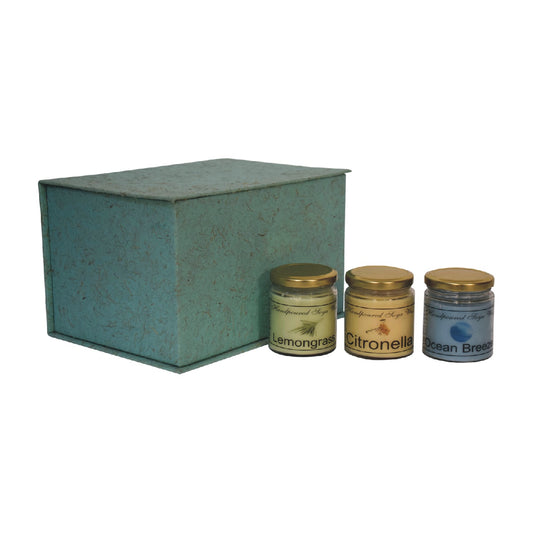 Scented Candle Set of 3 - Summer