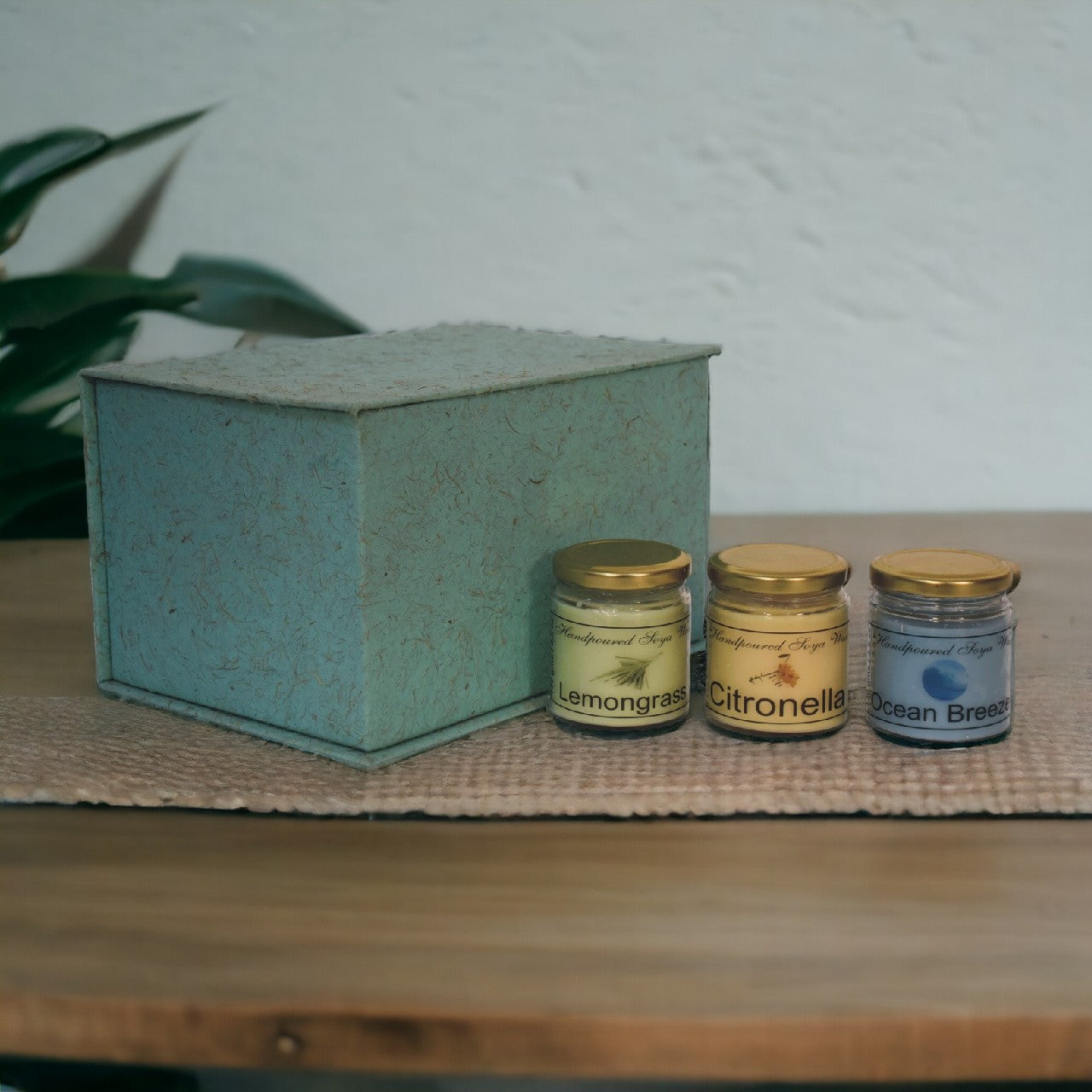 Scented Candle Set of 3 - Summer