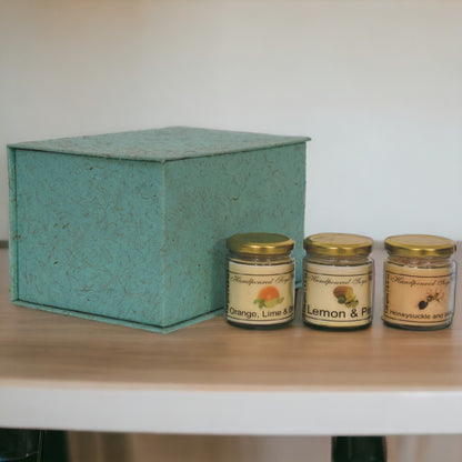 Scented Candle Set of 3 - Fruit