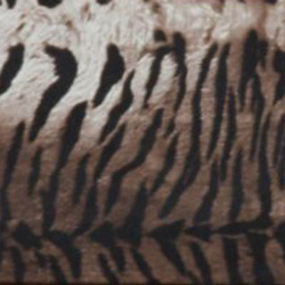 LEATHERITE TIGER PRINT